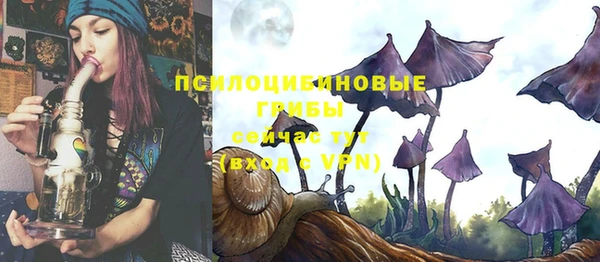 apvp Алексеевка